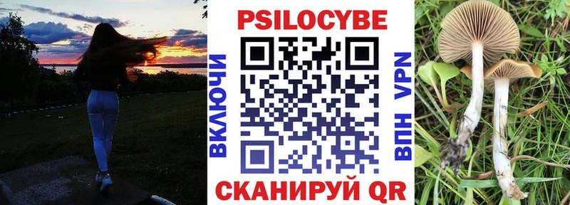 купить наркотик  Печоры  Псилоцибиновые грибы Cubensis 